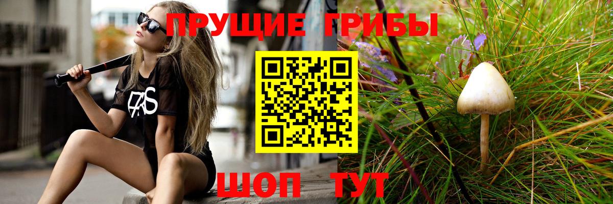 Галлюциногенные грибы MAGIC MUSHROOMS Кунгур